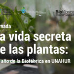 vidasecretaplantas_772x370_01