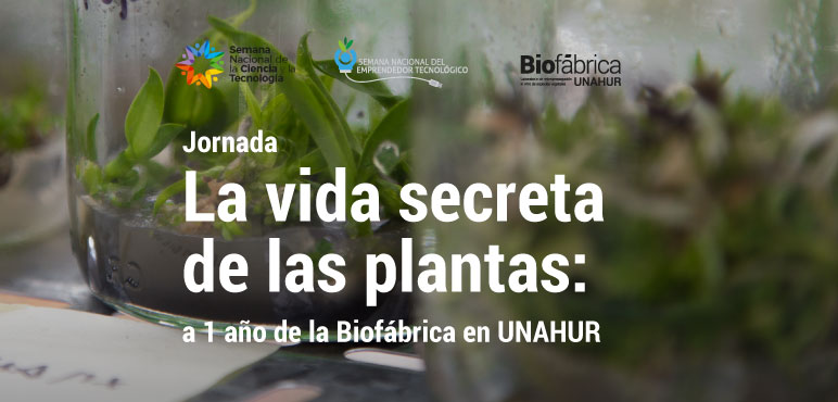 Jornada «La vida secreta de las plantas: a un año de la creación de la Biofábrica»