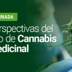 Cannabis Jornada