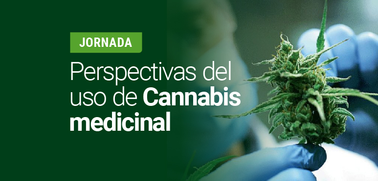 Cannabis Jornada