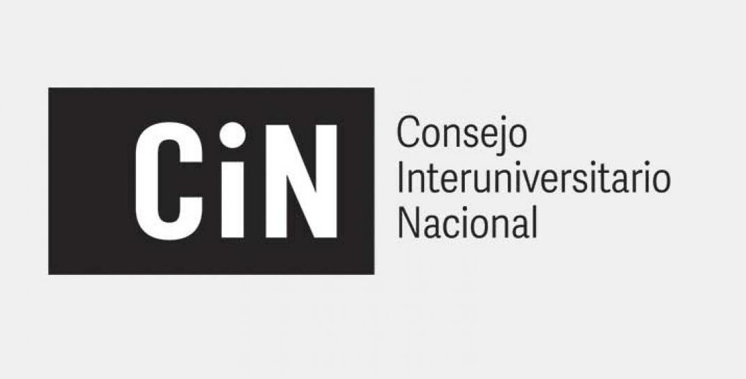 Declaración del CIN