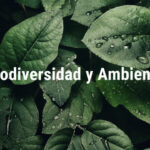 biodiversidad-y-ambiente_not