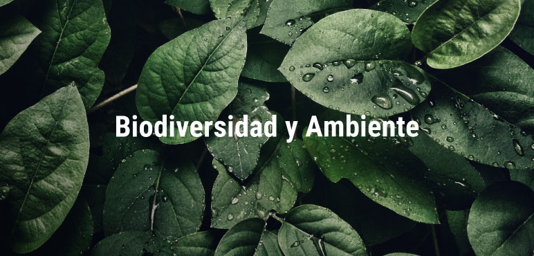 biodiversidad-y-ambiente_not