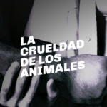 TNCcrueldadanimales_not