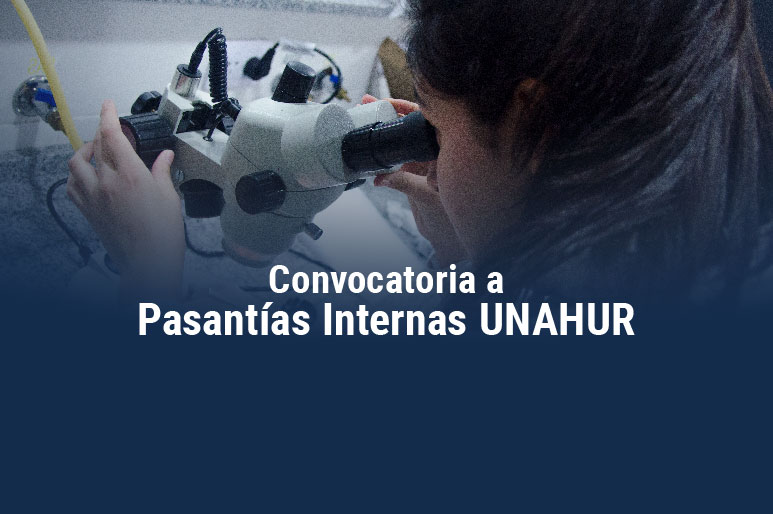 Pasantías internas UNAHUR