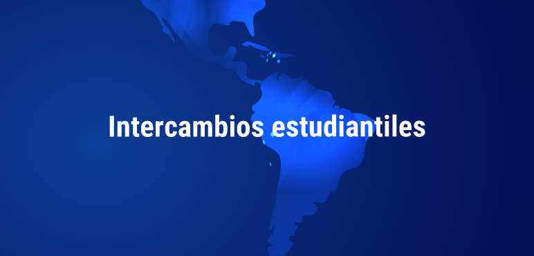 Intercambios estudiantiles virtuales: más de 30 estudiantes extranjeros cursan hoy en UNAHUR